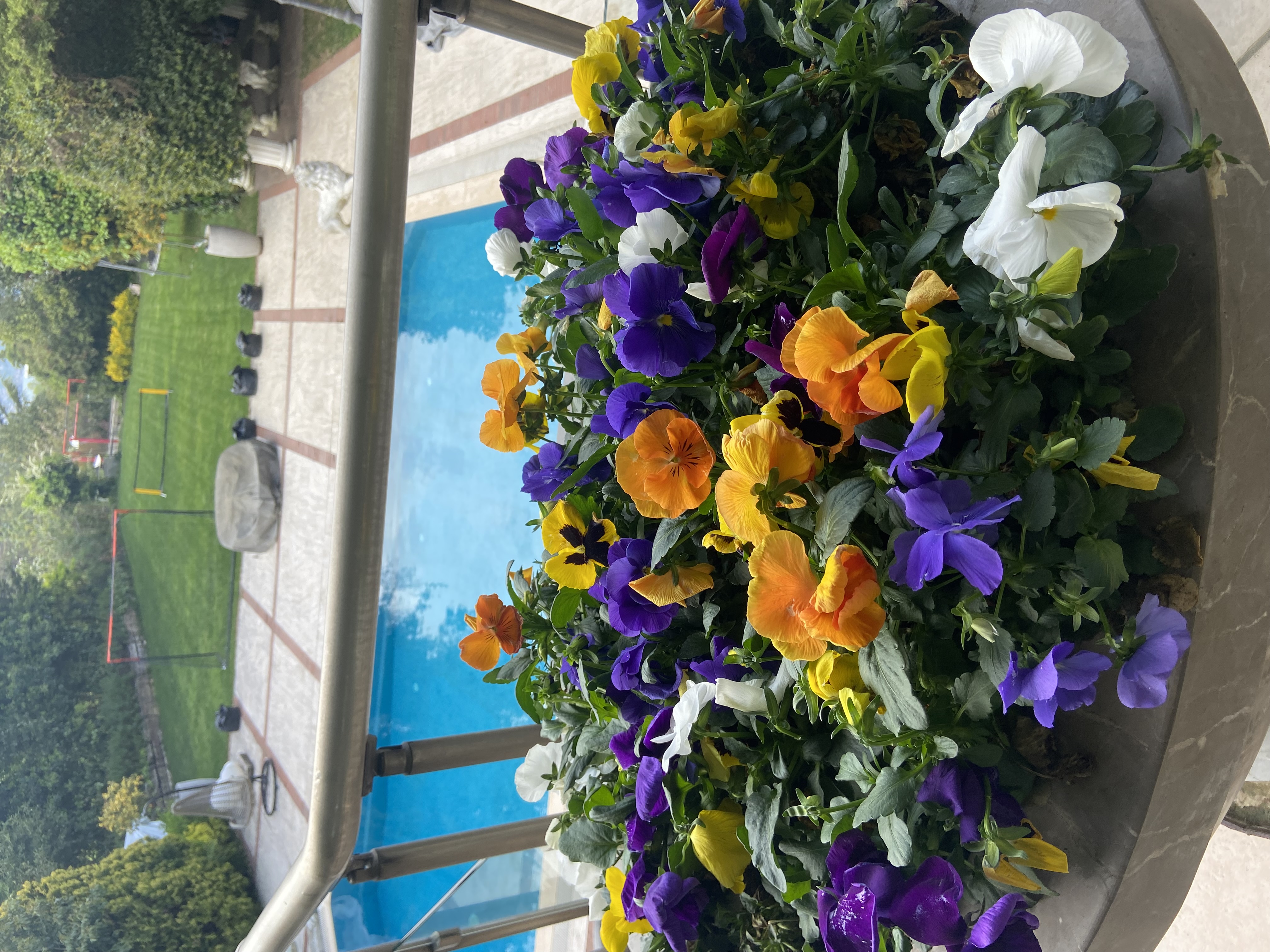 Hathat villaları  Sarıyer